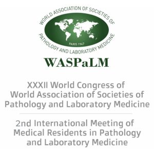 Cabezal WASPALM